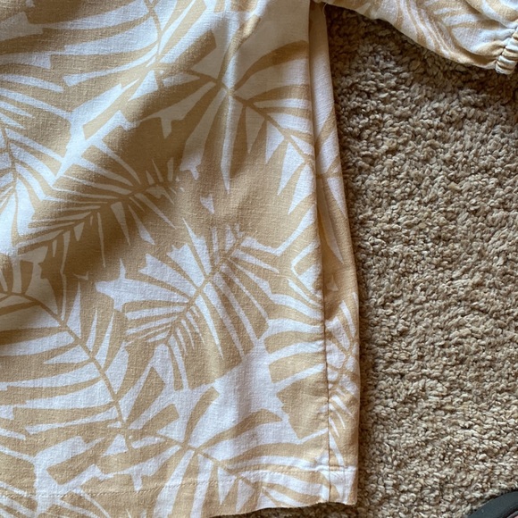 Gorgeous tan palm tree top - Picture 4 of 4